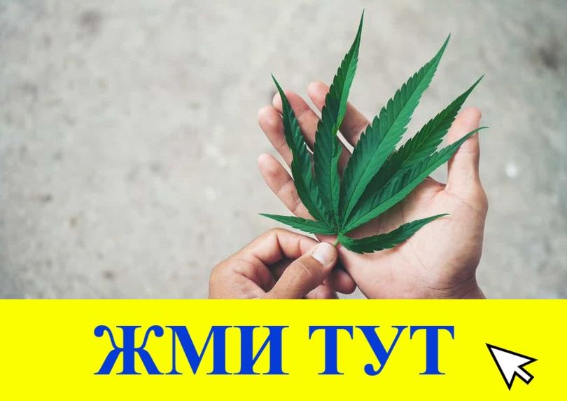 Купить наркотики в Трубчевске